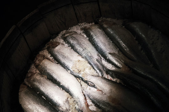 Closeup photo of salted herring in a wooden barrel