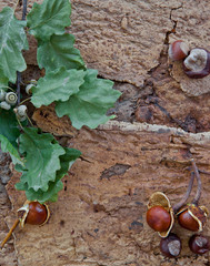 Rustikaler Hintergrund zum Herbst