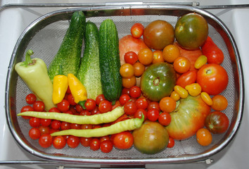 Vegetable Harvest in Kitchen Sink