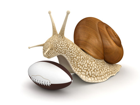 Snail and Football (clipping path included)