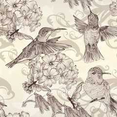 Fototapety  Beautiful vector seamless wallpaper with  humingbirds in vintage