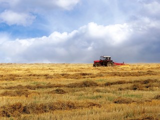 Obraz premium Tractor on the yellow field