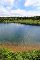 ガマ沼