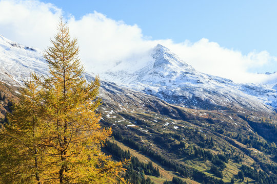 Fototapeta Snowcapped mountain pek