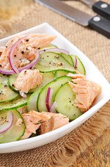 Salmon salad and cucumber with honey honey