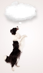 Cute dog with empty cloud bubble