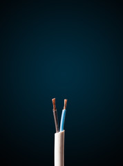 Electric cable with copy space