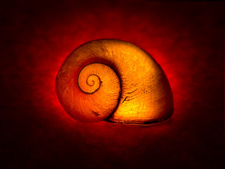 Snail shell illuminated over red - artistic, inner light