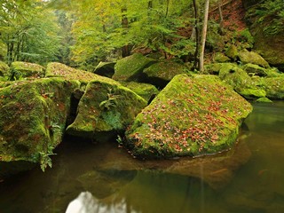 Mountain stream in sandstone gulch and below green branches