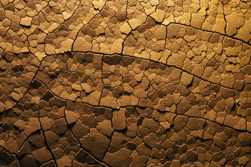 Dry cracked desert