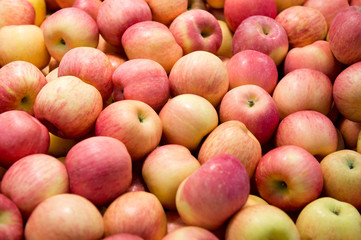 Pile of apples