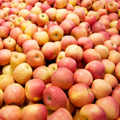 Pile of apples