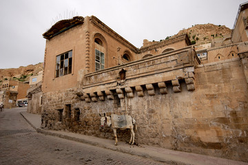 Stone buildings and donkey in Mardin old town in Turkey.