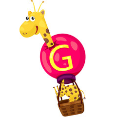 alphabet  G for giraffe