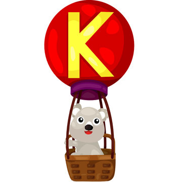 alphabet K for koala