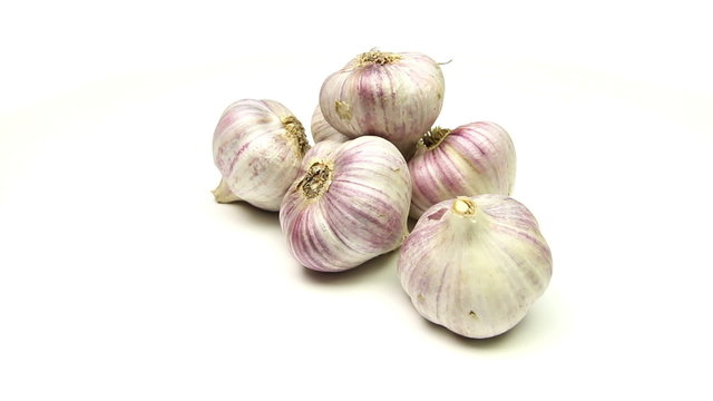 Garlic on a white background loop