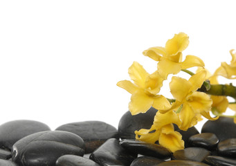 made from black stones and branch yellow orchid