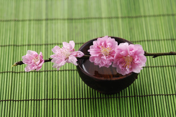 Cherry blossoms with water bowl on green mat