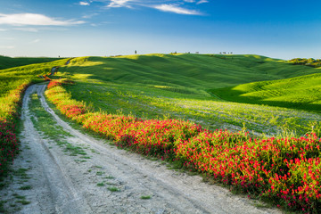 Fototapeta na wymiar Piękny widok na zielone pola i łąki na zachód słońca w Toskanii