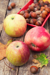 Ripe,sweet apple autumn harvest and fallen leaves