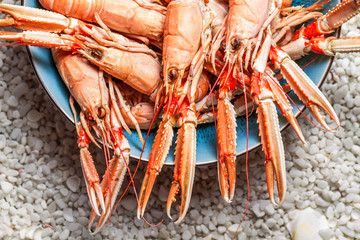 Fresh scampi served on the beach in a blue bowl