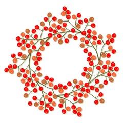 Obraz premium czerwona jarzębina jesienny wianek na białym tle