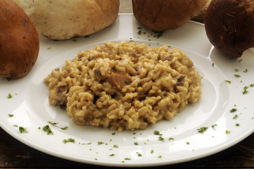 Risotto with Boletus edulis