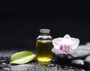 Spa still with white orchid, massage oil, leaf, pebbles