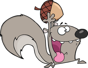 Crazy Gray Squirrel Cartoon Mascot Character Running With Acorn