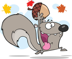 Crazy Gray Squirrel Cartoon Character Running With Acorn
