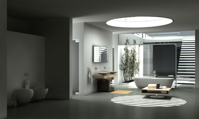 Modern Design Bathroom Interior