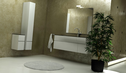 Modern Bathroom Interior with Modern Furniture