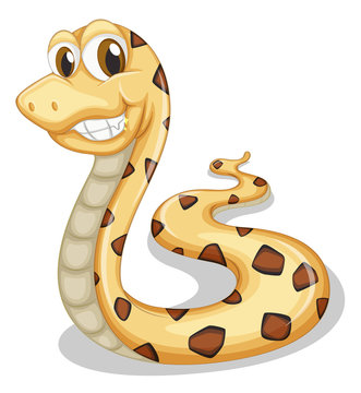 A smiling snake