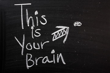 This is Your Brain Funny Comment or Joke
