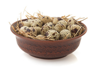 Obraz premium quail eggs on white