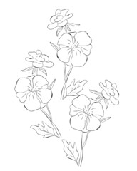 Flowers silhouettes. Vector illustration.