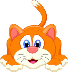 cute cat cartoon character