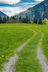 Fototapeta na wymiar Wanderpfad in den bayerischen Alpen