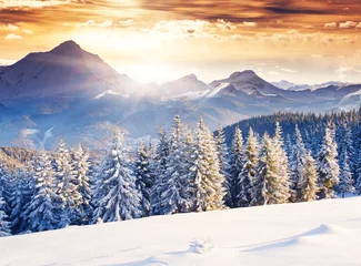 winter