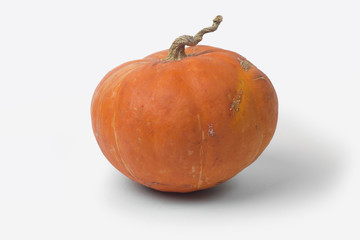 vegetables on the white background