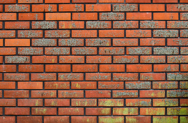Brick wall pattern background