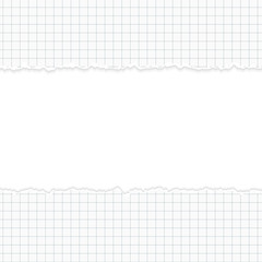aufgerissenes Papier mit Textfreiraum