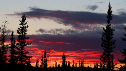 Red sunset behind forest and dark clouds near Fairbanks - obrazy, fototapety, plakaty