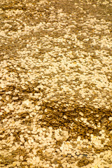 Goldschatz