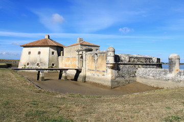 Fort lupin