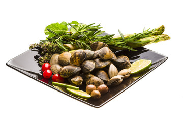 Spanish mollusc - Almeja