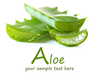 Aloe leaves with drops, isolated on white