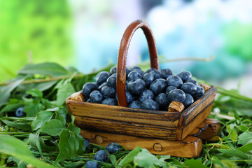 Blueberries in wooden basket on grass on nature background