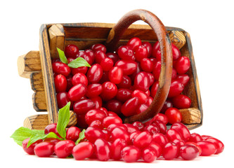Fresh cornel berries in wooden basket, isolated on white