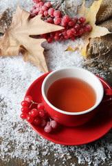 Still life with viburnum  tea in cup, berries and snow,